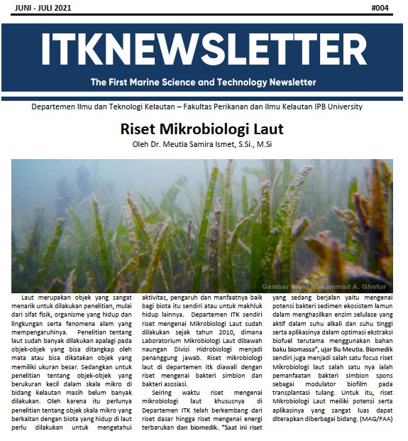 ITKnewsletter #004