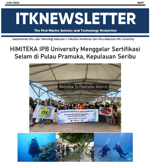 ITKnewsletter #008
